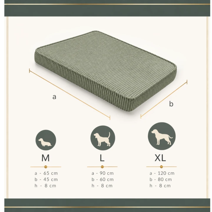 f48b6b0cbb0e8f38da0efd2bdfb287dc.png