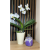 125be1f708cf12fa7bfd7b11790b7508.png